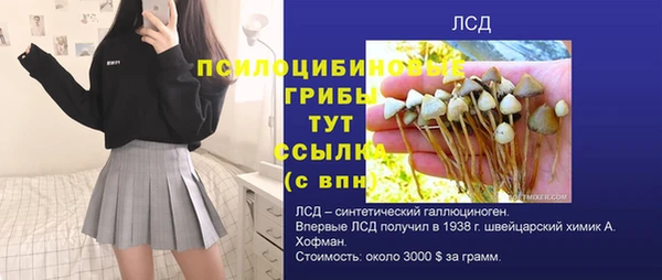 тгк Лагань