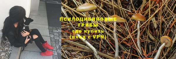 Альфа ПВП Майский