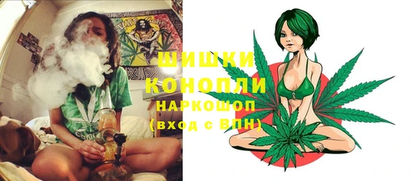 крисы Лабытнанги