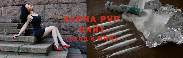 ECSTASY Ладушкин
