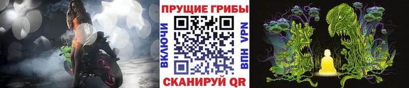 Галлюциногенные грибы прущие грибы  Лабытнанги 